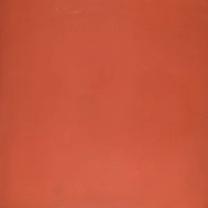 Carreau de ciment uni CARODECO Cerise 40 rouge terracotta mat style chaleureux et élégant